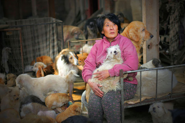 xiaoyun yang http://www.athba.net/