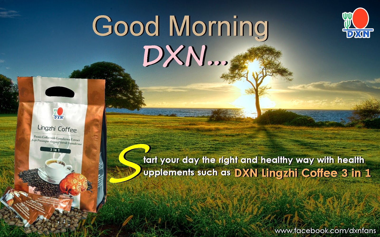 Welcome to the DXN Fans Blog: Good Morning DXN!