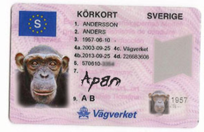 Duktiga Tjejen: Vägen mot körkort...