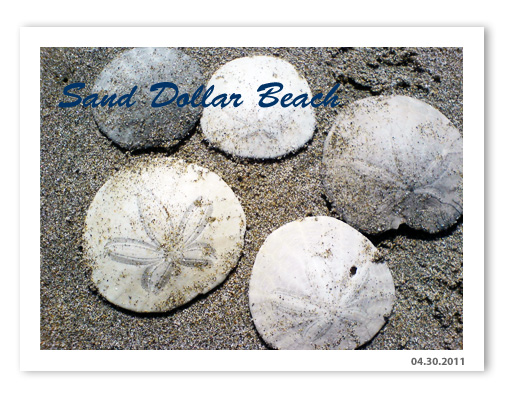 My Dream Beach: Sand Dollar Beach, California -- a "RICH" beach