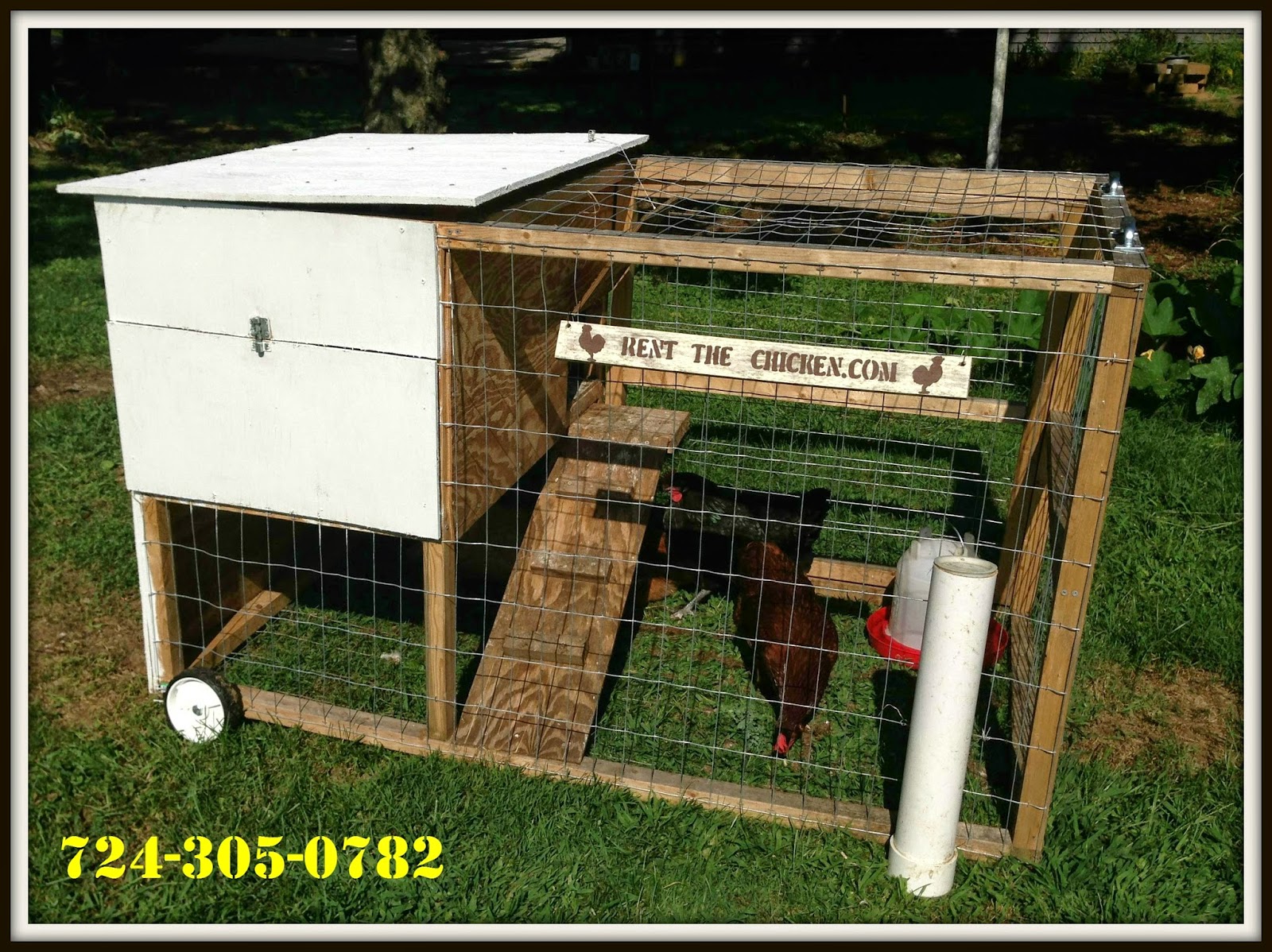 Rent The Chicken Medford, Oregon and Surrounding Areas