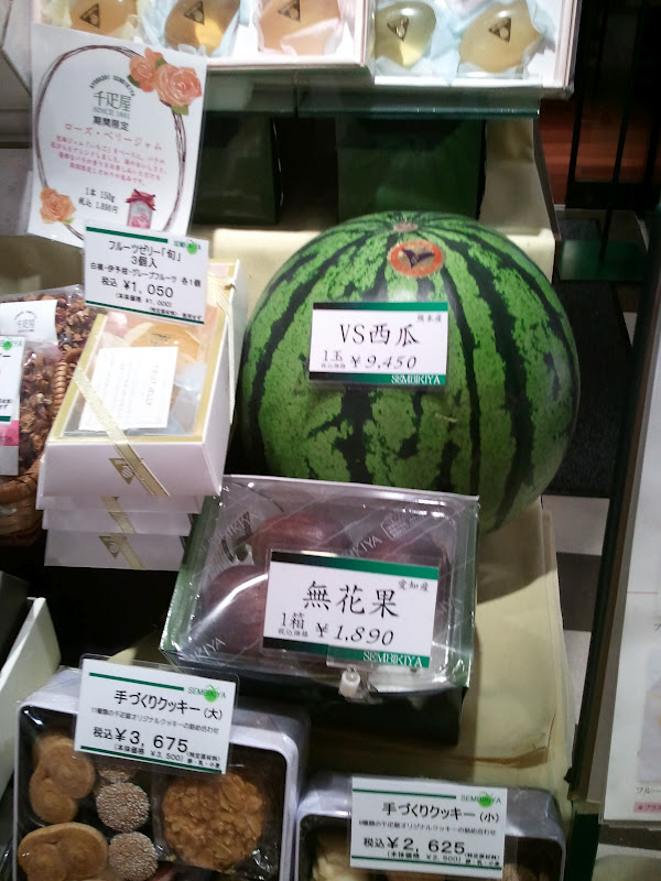Quarterlife Adventures Watermelon for 9,480 Yen? Outrageous Fruit