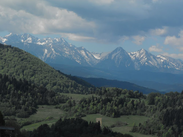 DSCF5398.jpg