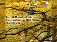 Autumn Quotes And Sayings1