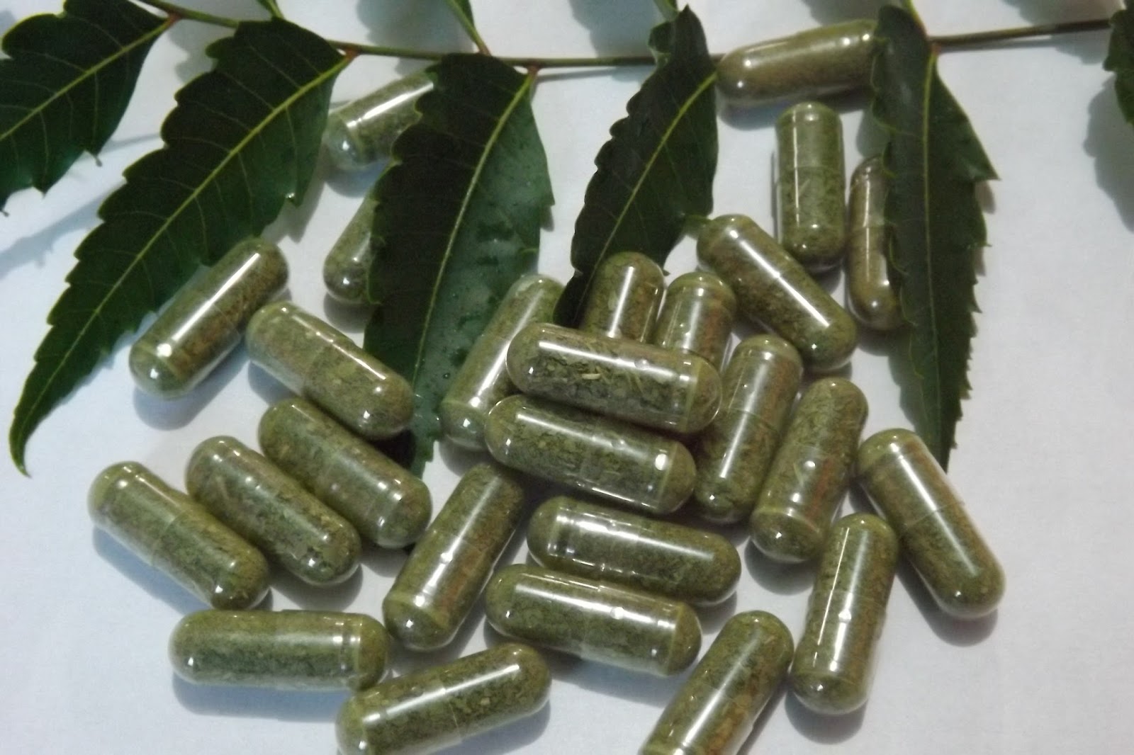 Productos de Neem, elaborados con arbol de neem Capsulas de hoja de neem