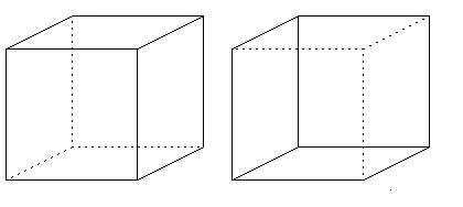 ilusionario el cubo de