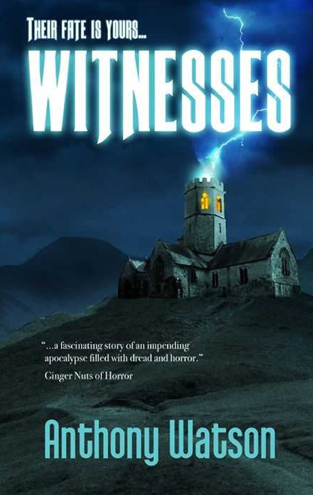 WITNESSES