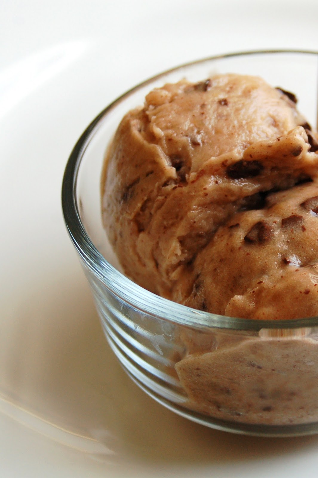 For the Love of Leaves Cinnamon Chocolate Chip Ice Cream (Vegan