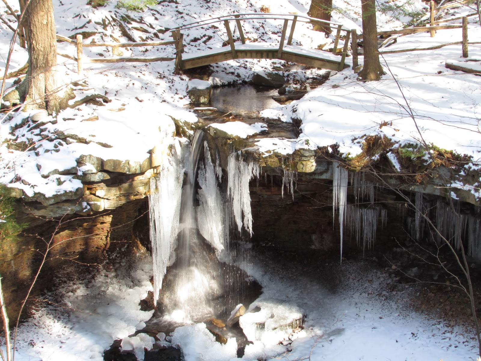 Linn Run State Park, Ligonier, PA, Westmoreland County Interesting