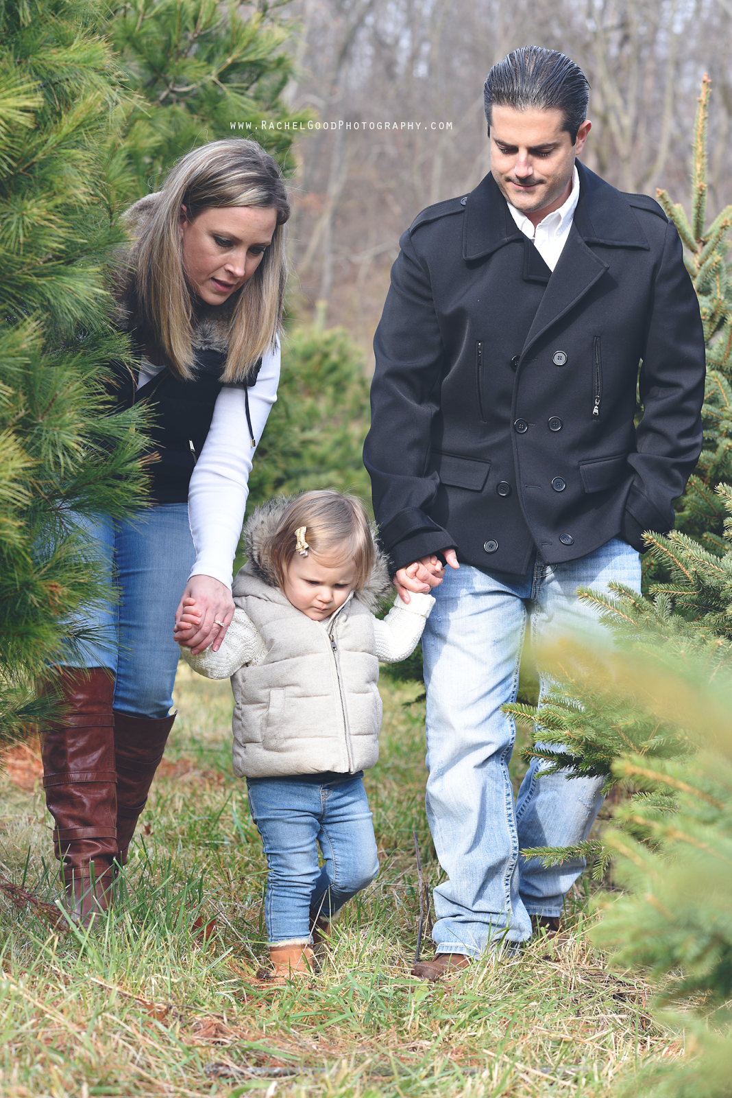 rachel good photography Valley View Swan Farm; Gemma's Family