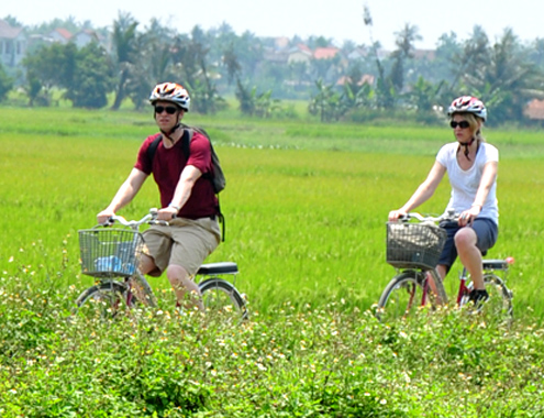 Hình ảnh có liên quan