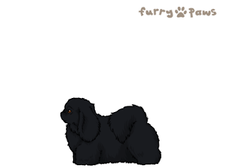 http://1.bp.blogspot.com/-a6A65Zdt4uw/UBNaWsSBIHI/AAAAAAAACvs/9ayDP57w3Ko/s320/1Black09.png