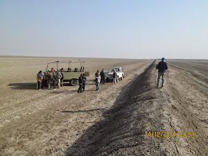 A view of the desert wasteland of the Little Rann of Kutch.