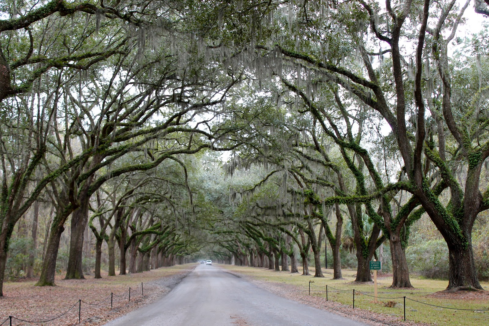 Style of Savannah The Last Song, Will's House!!