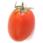 Plantar Tomates - Tomate Chucha
