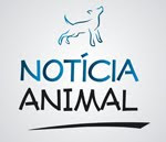 Notícia Animal