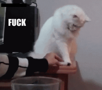 30 Hilarious animal gifs with captions (30 gifs), caption gif, funny gif with caption