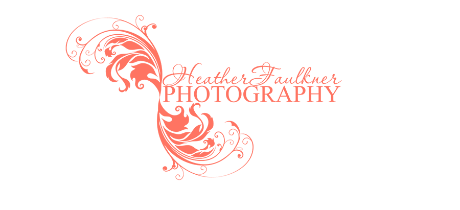 HeatherFaulkner Photography