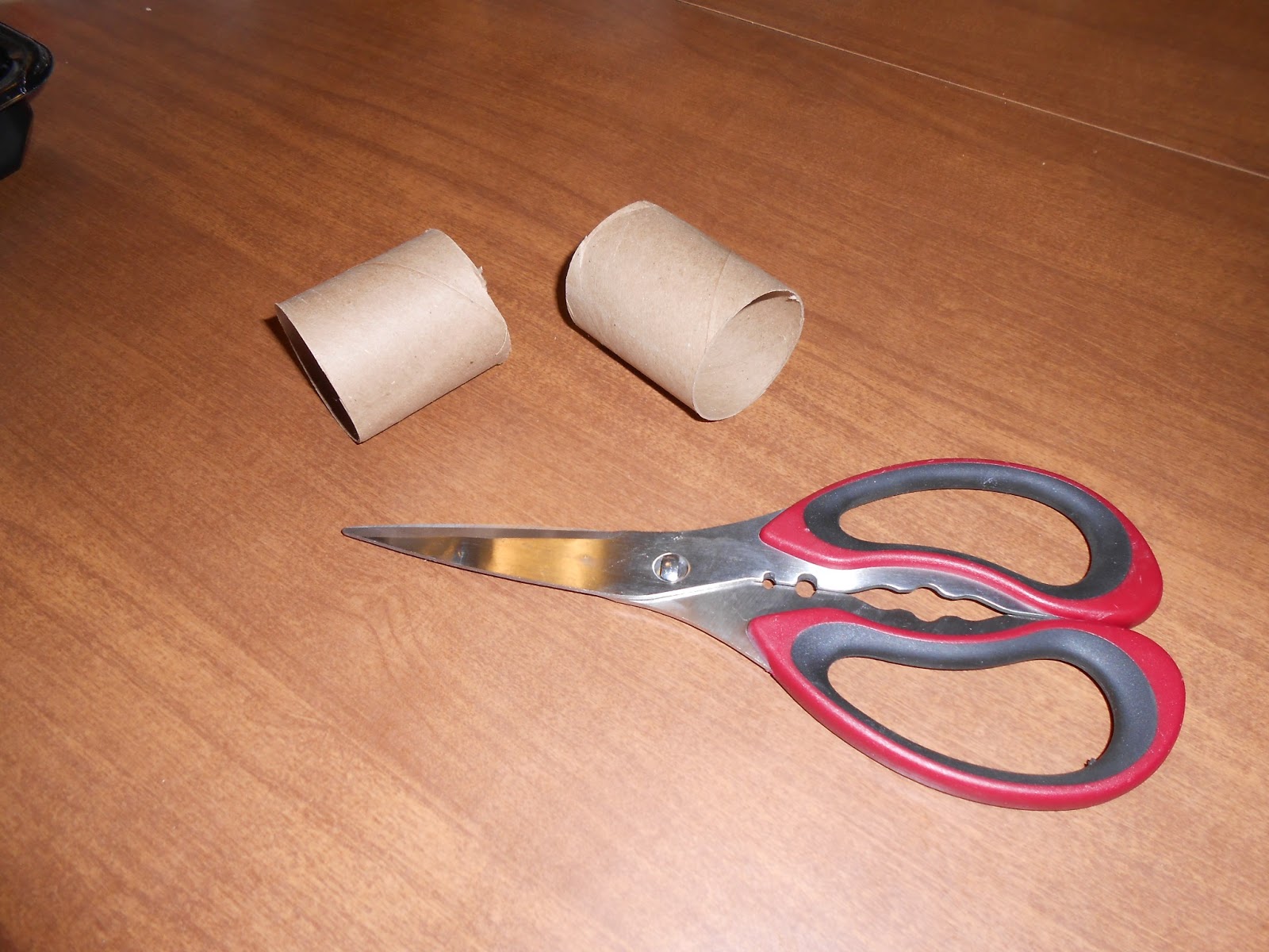 Windy Acres Diary Toilet Paper Roll Plant Pots