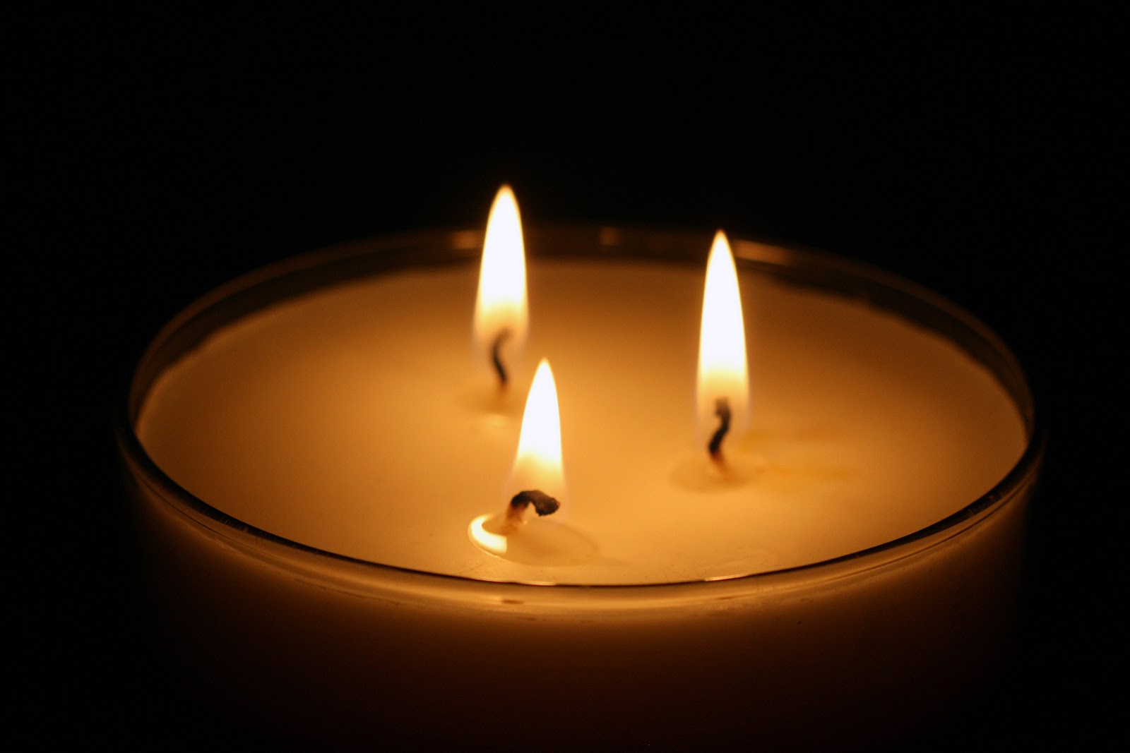 Celebrity Screensaver Wallpaper Picture Theme In The Candle Light