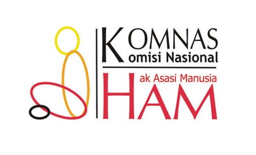 23 Fungsi Komnas Ham Lengkap Dengan Penjelasan