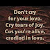 Rock...ανίζοντας με Poets of the Fall - Cradled in Love