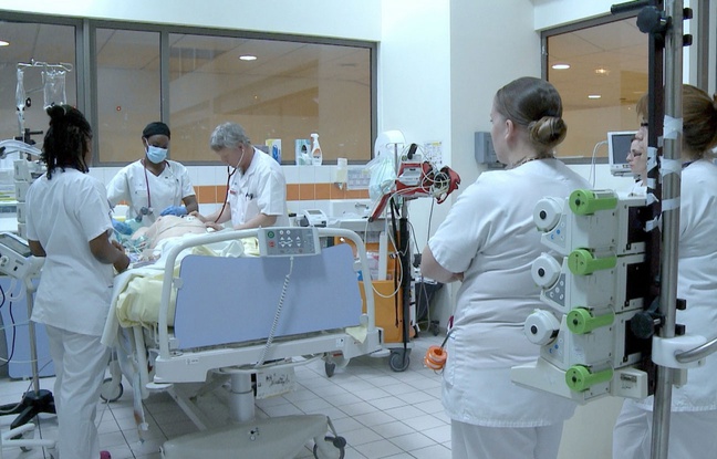 rencontres msd santé animale