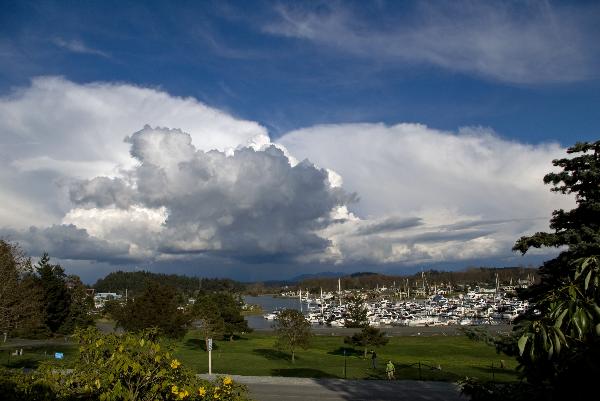 king 5 weather