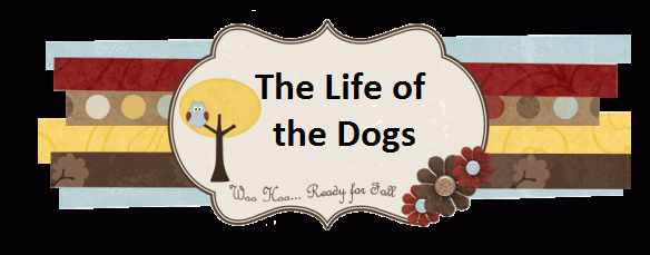 The Life of the Dogs