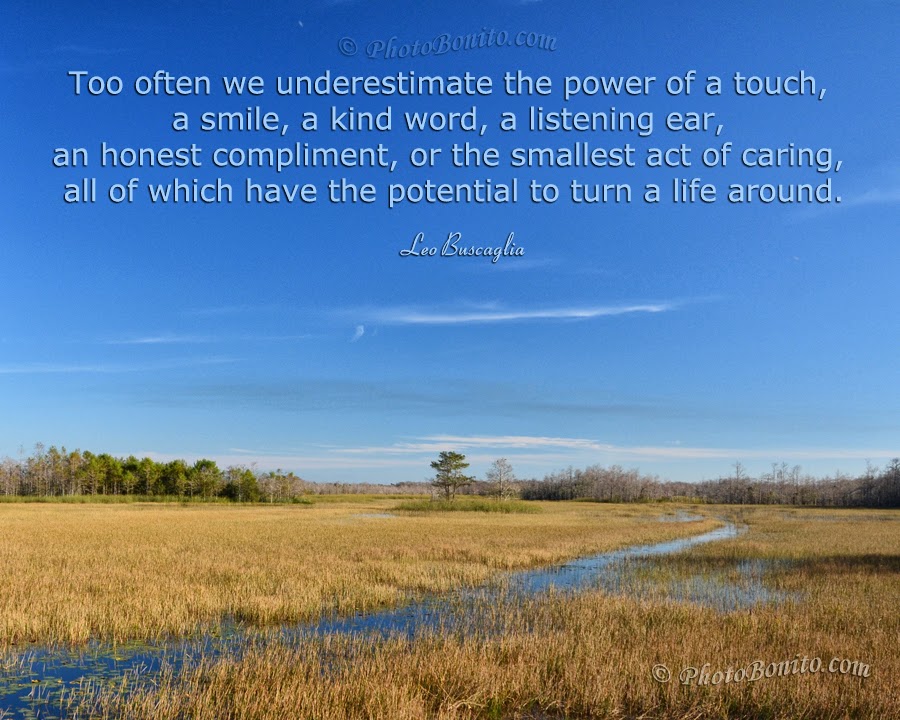 WallMasth- Free Pure HD Quality Desktop Widescreen Wallpapers, Mobile