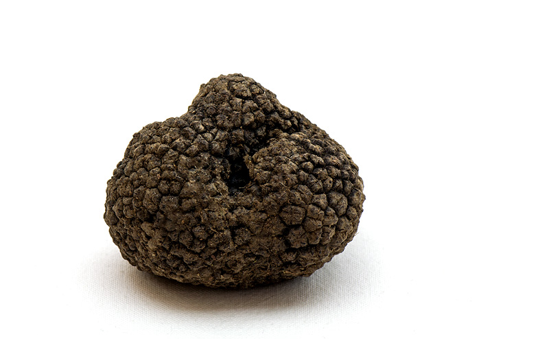 Black truffle close up not washed