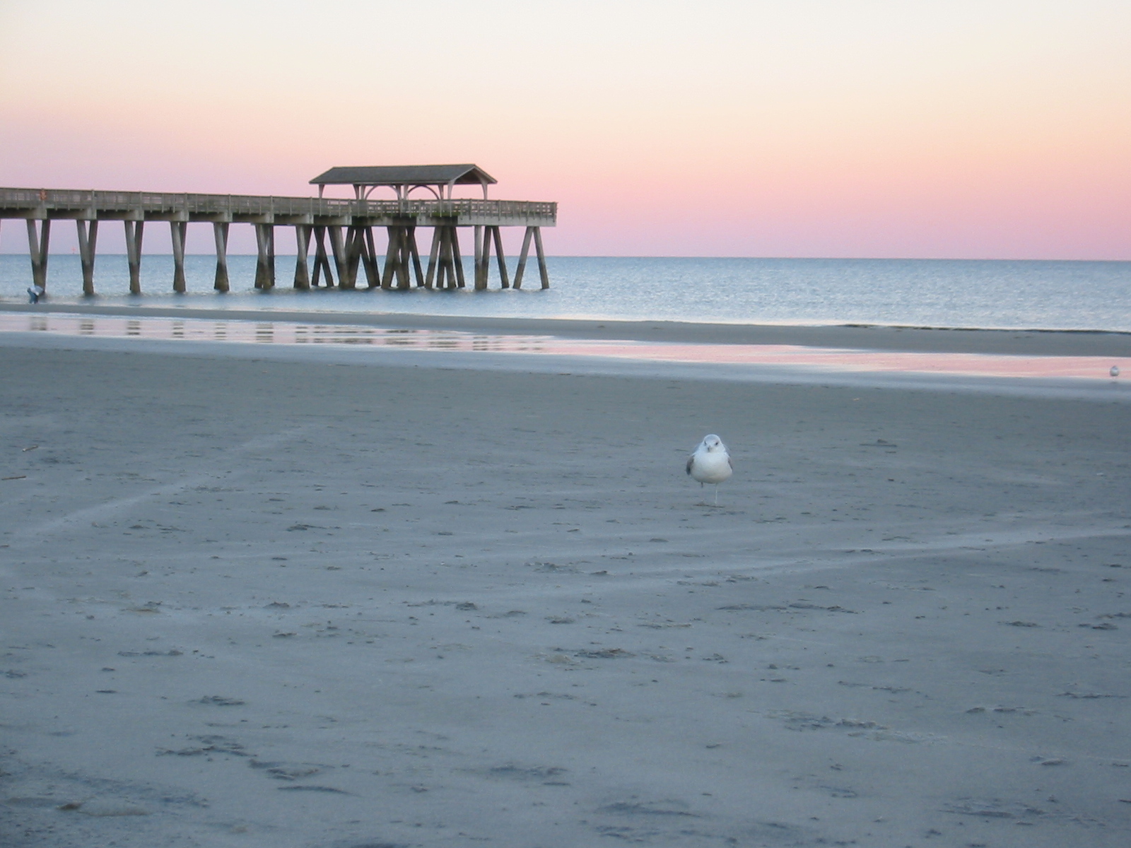 Tybee Ga