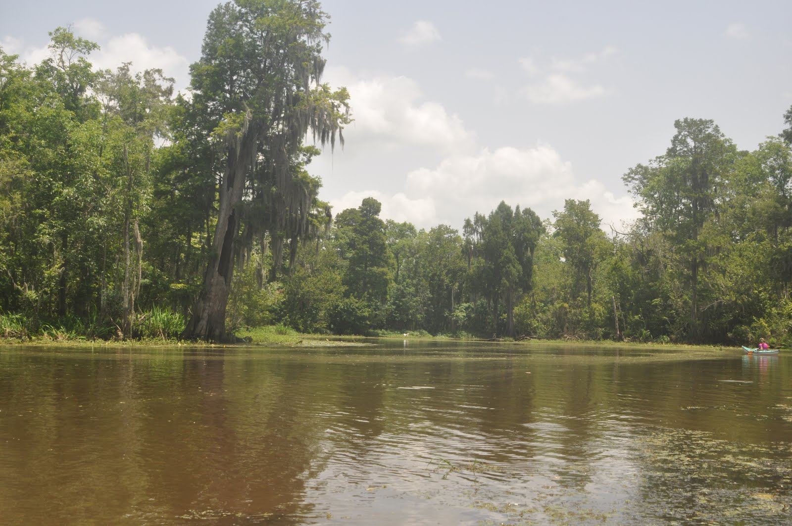 Southeastern Louisiana Paddling Paddling Blind RiverTwo Options