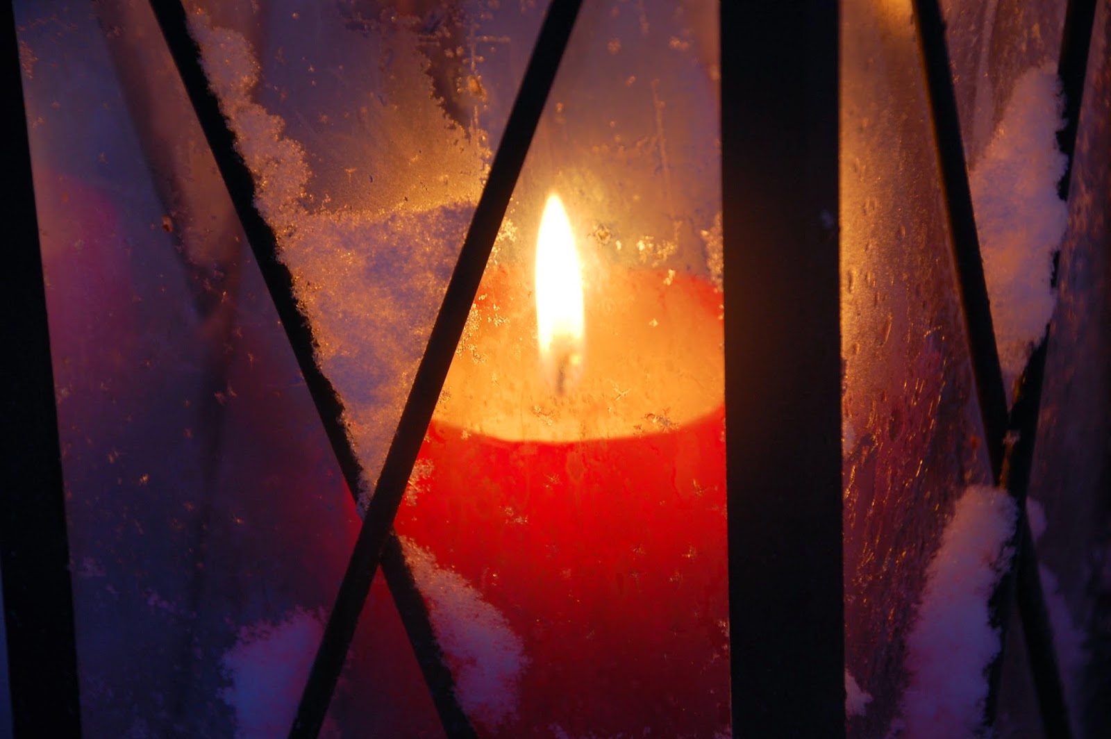 Svanå trädgård: december 2014