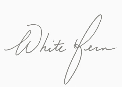 White Fern Illustrations & Designs