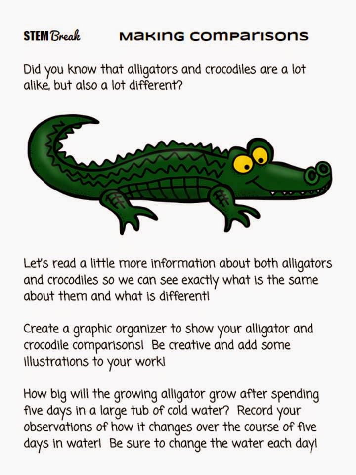 Growing a STEM Classroom Making Connections with a STEM Break!