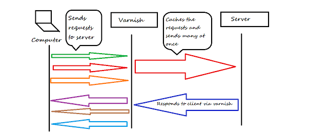 Varnish Request-Response Model