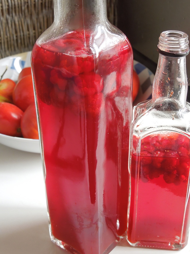 Dans mon assiette Vinaigre de framboises comment le faire maison
