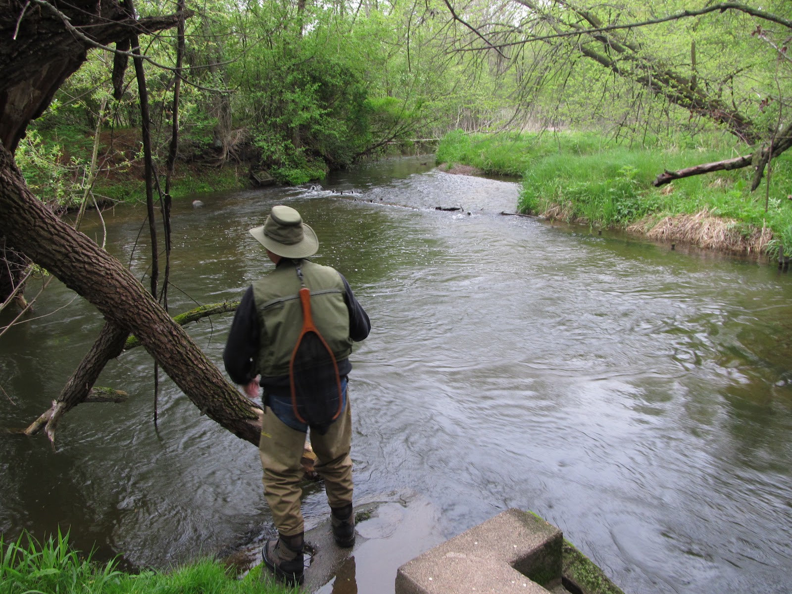 Midwest TwoHearted Trout Opening Day on the Willow River Wisconsin