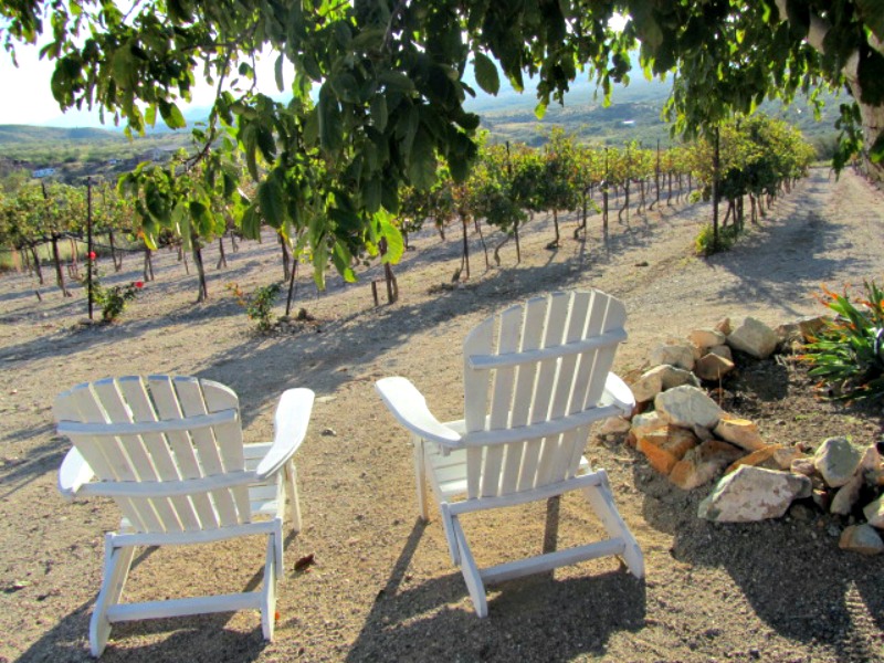 Wine tasting in Sonoita / Seaweed Kisses