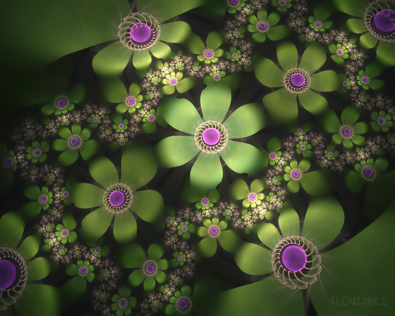 3d Flower Wallpapers 3d Flower Wallpapers