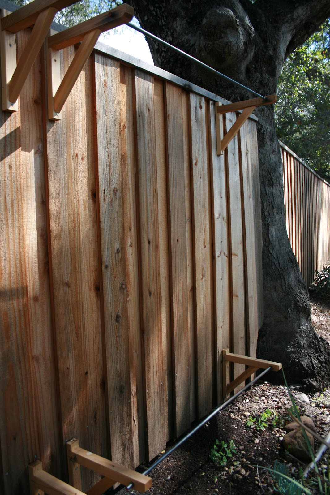 The Polished Pebble Sweet Pea Trellis