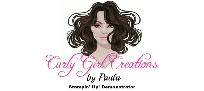Curly Girl Creations