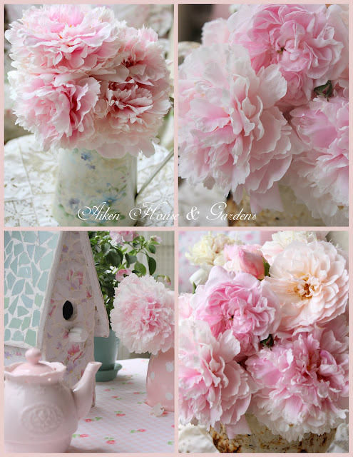 Aiken House & Gardens: Pink Peonies & Roses