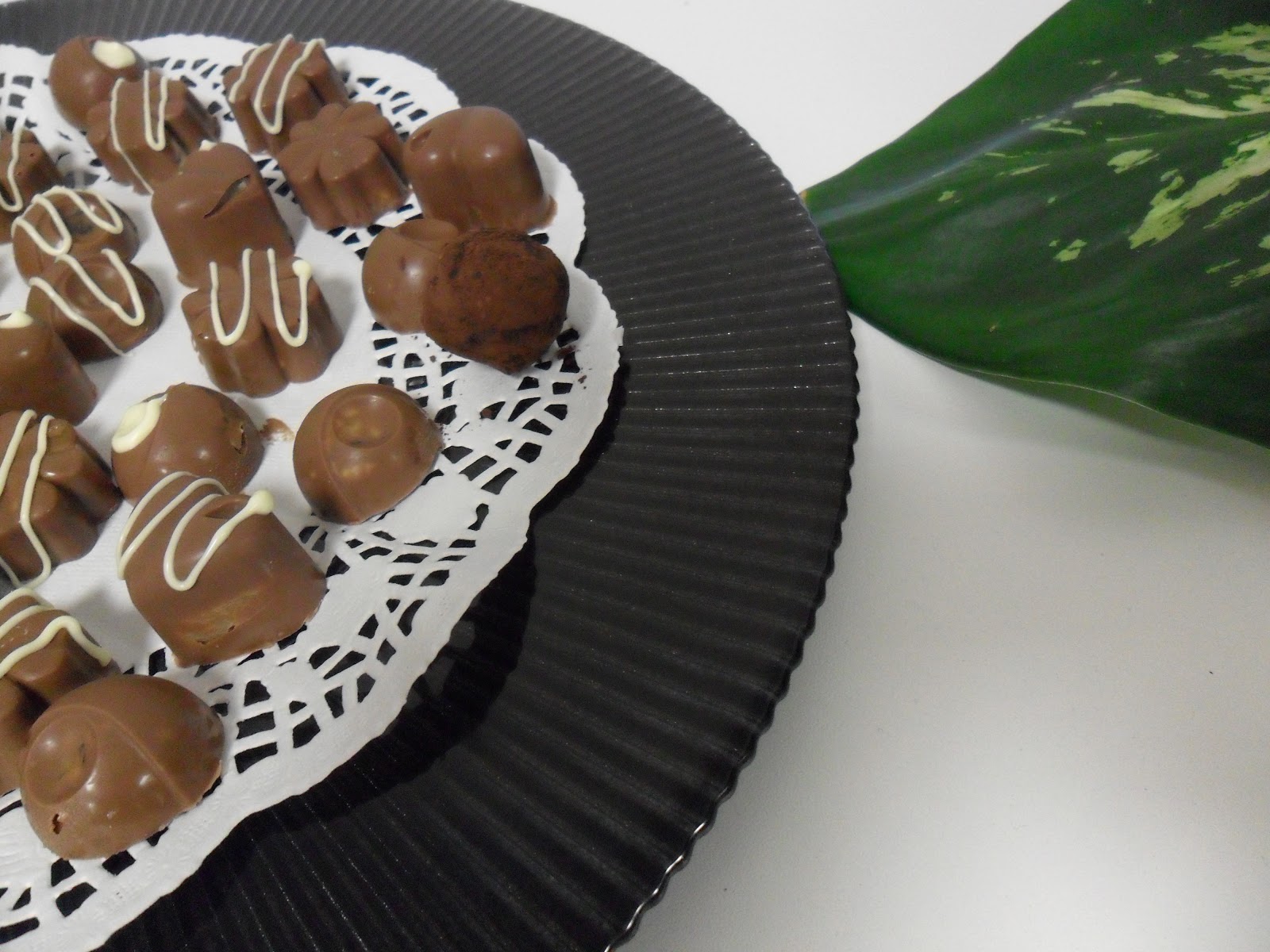 ikbush Kedi�de çikolata kursu