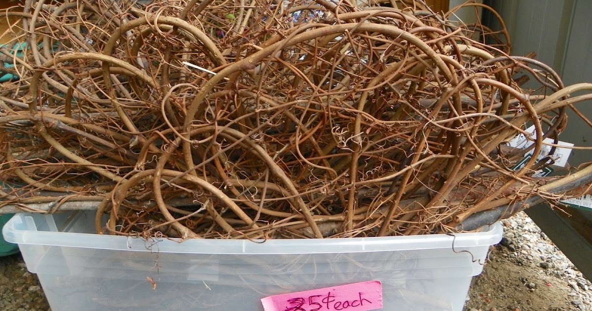 Dicky Bird's Nest : 30 Days of Repurposing Projects - Day 2 - Grapevine Christmas Tree