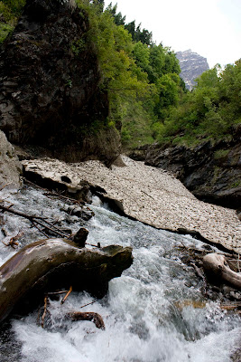 Miles to go before I sleep VIII - Picture Perfect 5