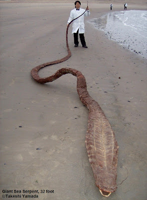 32 foot Giant Sea Serpent by Takeshi Yamada