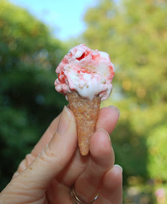mini bugle ice cream cones