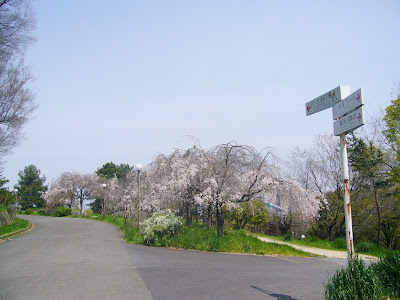 花博記念公園鶴見緑地ウォーキング